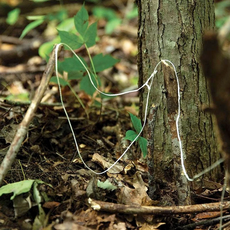 Atwood Parapocalypse Paracord - Image 4